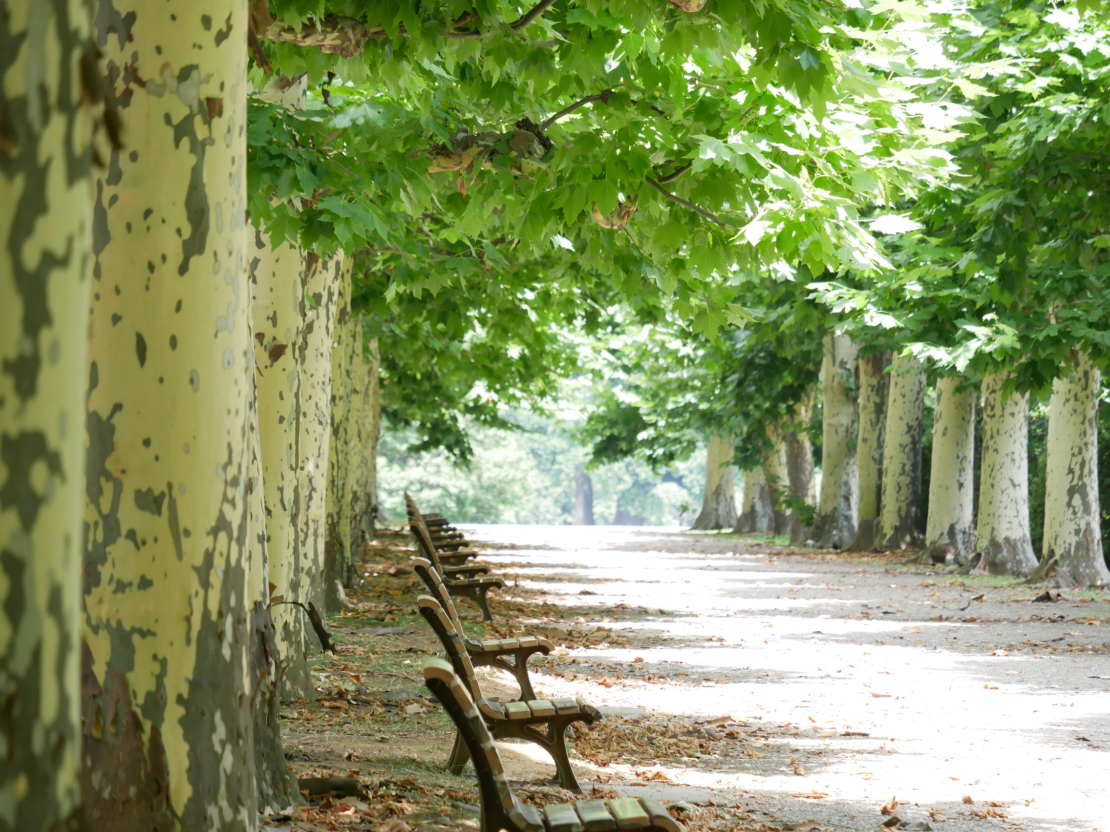 自分を知ることで カメラマンへの道が近づくなら あなたはどうしますか